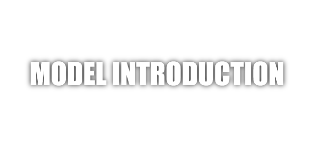MODEL INTRODUCTION
